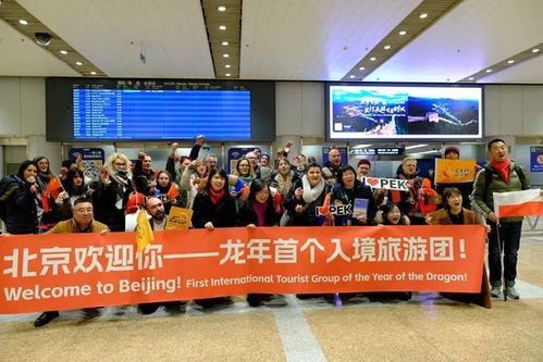 龍年首批入境旅游團抵京，沉浸式體驗京味兒春節魅力